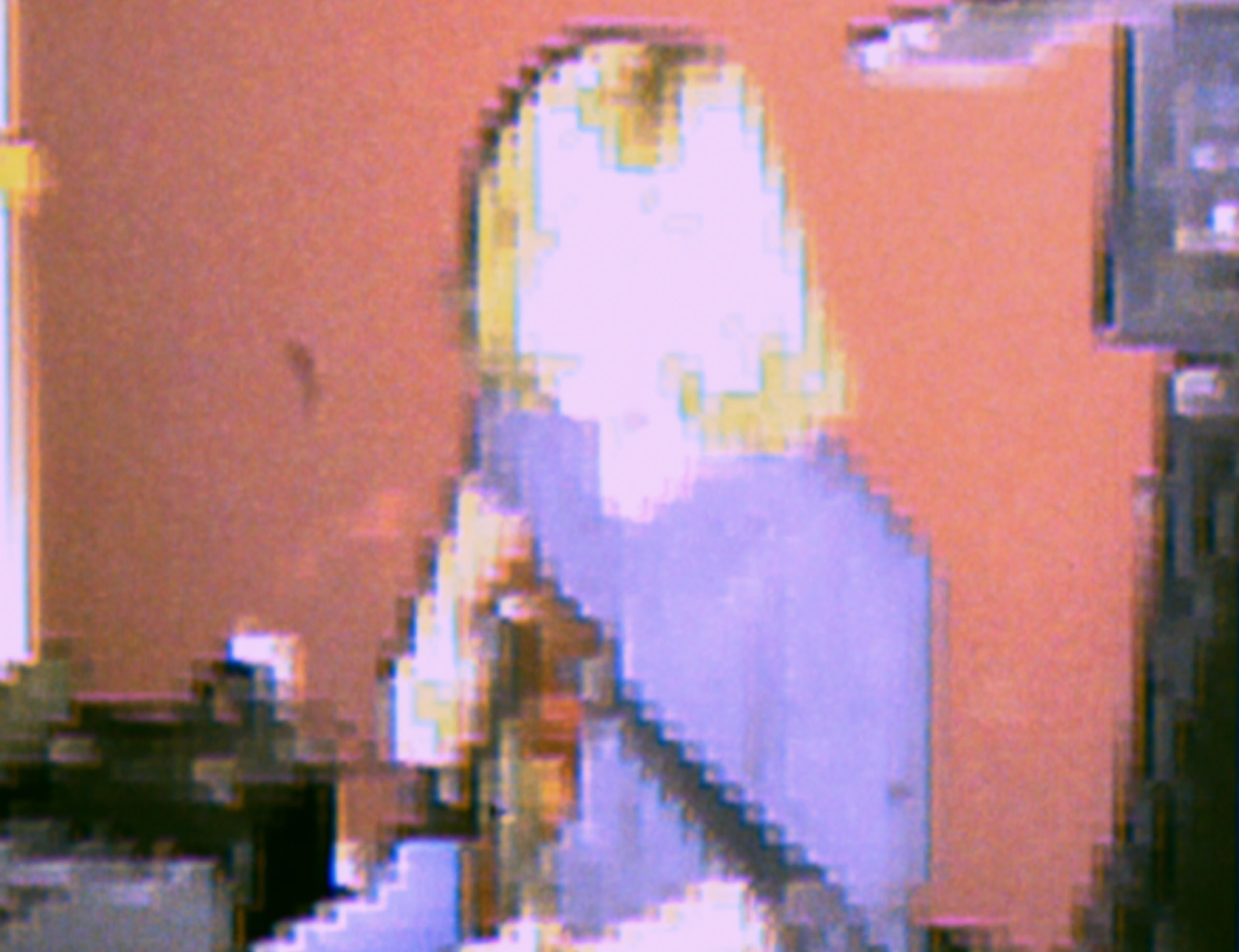 donozira press image